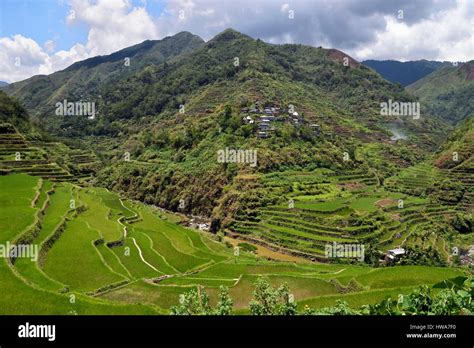 Philippines Ifugao Province Banaue Rice Terraces Listed As World Heritage By Unesco Fed By