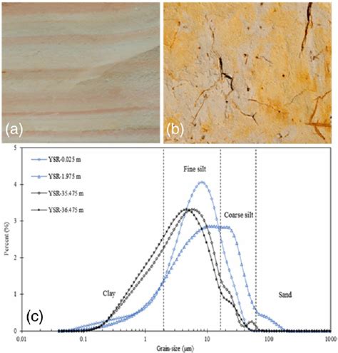 A Laminated Sterile Clayclayey Silt Without Bioturbation In The