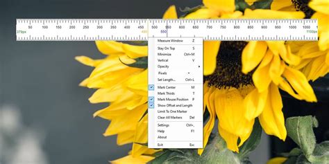 How To Add A Ruler To The Screen On Windows 10