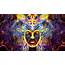 Artistic Psychedelic Colorful Face HD Trippy Wallpapers 