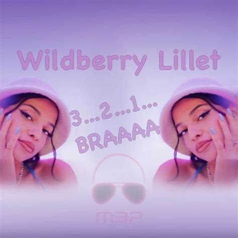 Stream Wildberry Lillet Vs Vize And Capital Bra Lelele Mbpmashup By