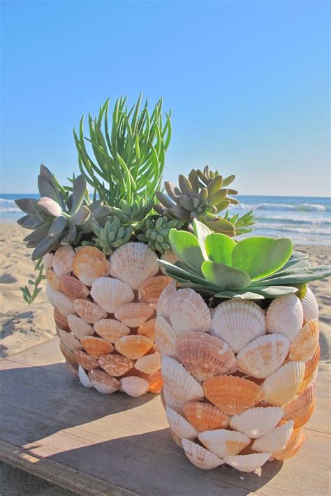 Put Your Beach Treasures On Display Beautiful Diy Seashell Crafts