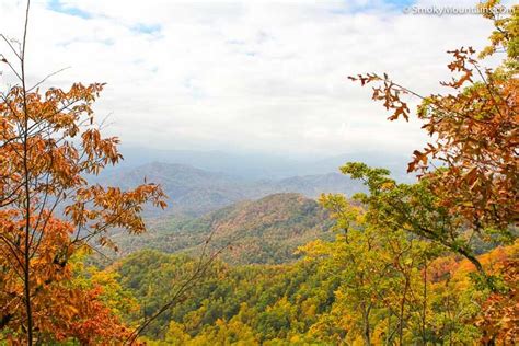The Best Places To See Fall Foliage In Asheville Tn