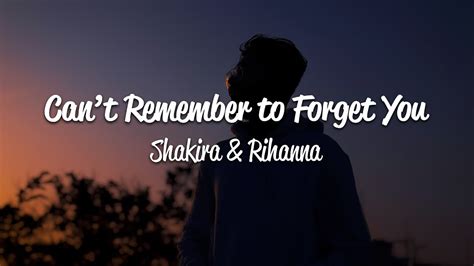 Cant Remember To Forget You Lyrics