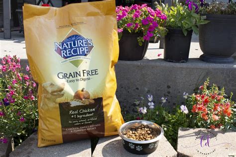 Natures Recipe Grain Free Dog Food At Walmart Crazy Adventures In