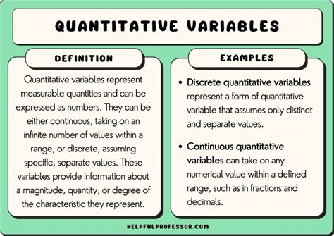 25 Quantitative Variable Examples 2024