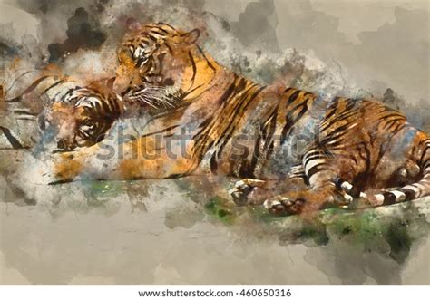 Tiger Couple Digital Watercolor Painting Stock Illustration 460650316