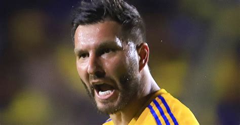 Tigres Uanl Andr Pierre Gignac En Peligro De Ser Expulsado