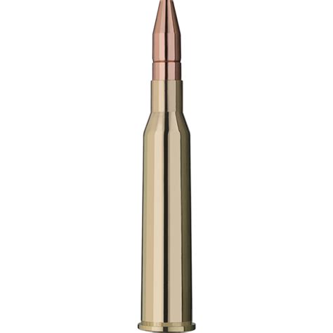 ⭐ Comprar Balas Para Rifle Rws Del Calibre 65x57 R Dk 140 Gr