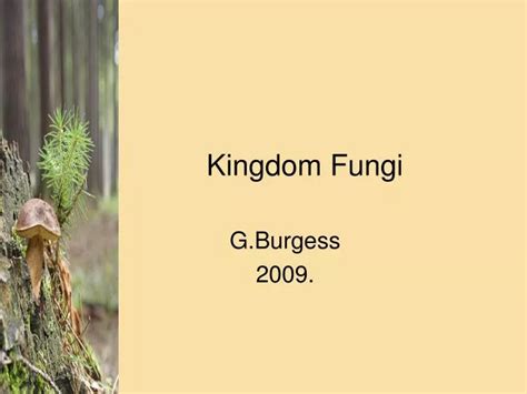Ppt Kingdom Fungi Powerpoint Presentation Free Download Id1466318