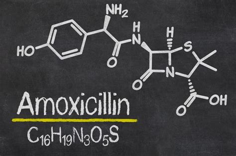 Alcohol And Amoxicillin Find More Information Alcohol Rehab Guide