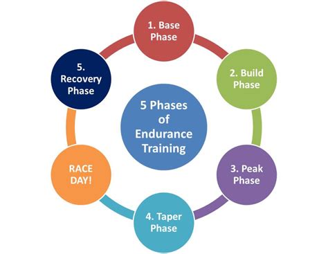 5 Phases of Endurance Training - rUnladylike