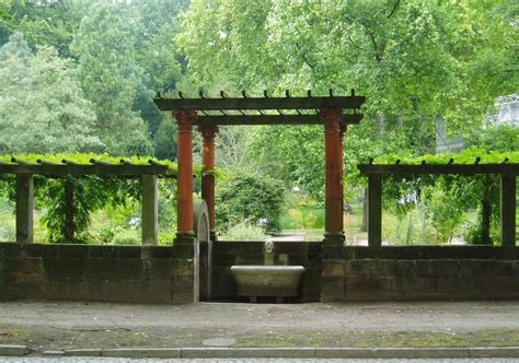 Check spelling or type a new query. Botanischer Garten Potsdam - Wikiwand