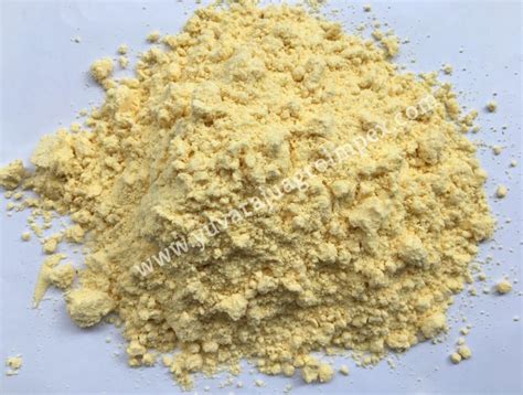 Turmeric Powder Manufacturerssuppliersexporters In India