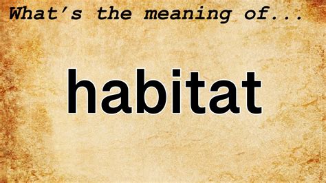 Habitat Meaning Definition Of Habitat Youtube