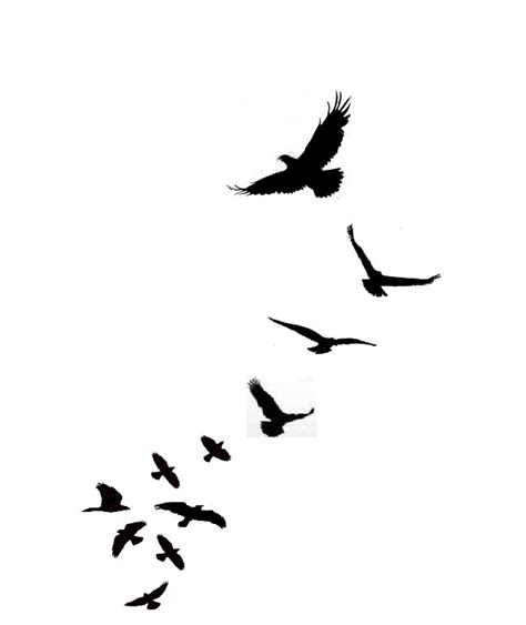 Black Bird Tattoo Stencil Flying Birds Pictures