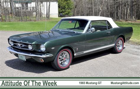 Ivy Green 1965 Mustang Gt Convertible 1965 Mustang Gt Mustang 1965