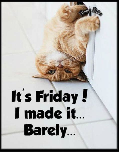 Its Friday I Barely Made It Pictures Photos And Images For Facebook
