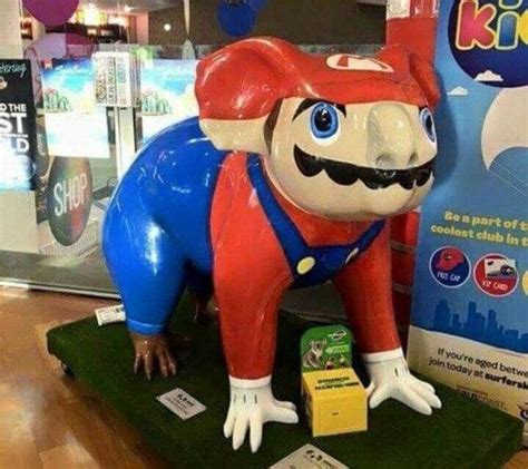 Image Result For Cursed Images Mario Memes Cursed Images Funny Memes