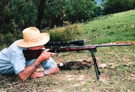 204 Ruger Deadly On Varmints Sporting Shooter