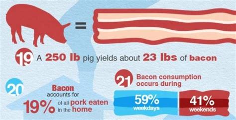 25 Bacon Based Facts