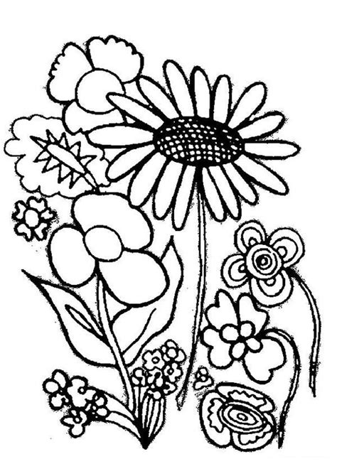 Various Type Of Flower Plants Coloring Page Coloring Sky