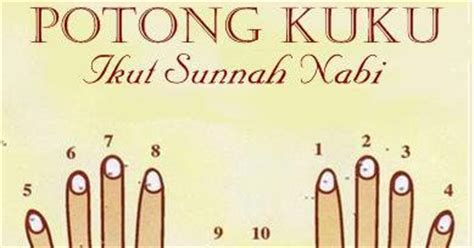 Procedures for nail cutting at a given time to follow the sunnah of the prophet. Prisma Ar - Rahman: Potong Kuku Ikut Sunnah Nabi
