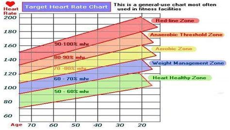 7 Rate Chart Templates Free Sample Example Format Download Free