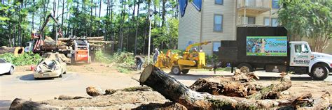So if you are covered for $250,000, you would be entitled to $12,500 for debris/tree removal. Tree Removal Dunwoody | Experienced Tree Removal Services ...