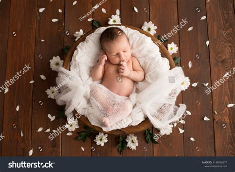 Collection Of Amazing Full 4k Baby Photo Shoot Images Over 999 Shots