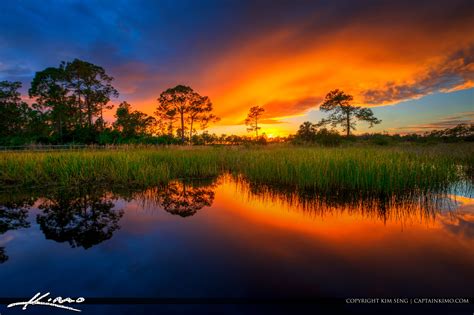 Acreage Pines Natural Area Sunset Loxahatchee Florida Hdr Photography By Captain Kimo