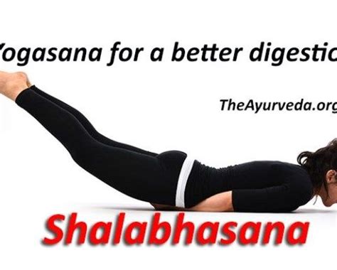 These yogasana for flat belly will intention you create a strong indulge in and find a love for the practice. Pin on Yoga