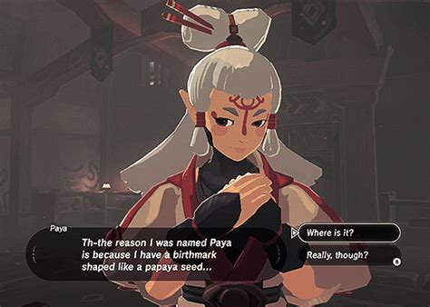 Pin By None None On The Legend Of Zelda Breath Of The Wild Paya