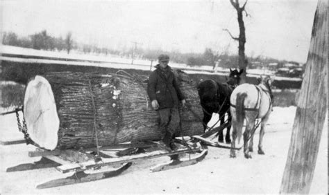Michigan Lumbering History Lewiston And Hartwick Pines Revolution