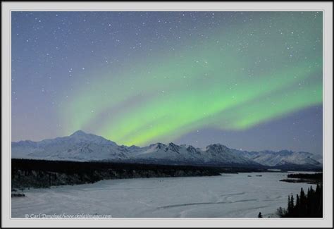 Northern Lights And Northern Lights Denali State Park Alaska