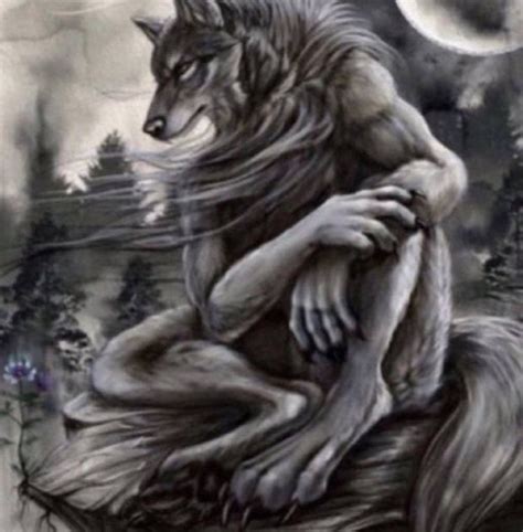 Pin By Улюлю On Реактивные ранцы Wolf Meme Alpha Werewolf Funny Wolf