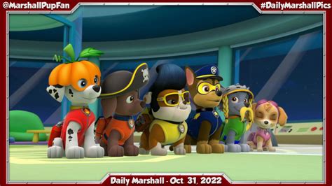 Paw Patrol On Tumblr