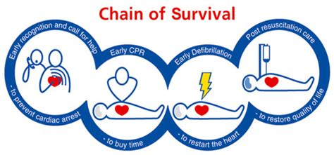 Cpr & first aid training classes | american heart association. BLS CPR Certification Classes Near Me - American CPR Institute