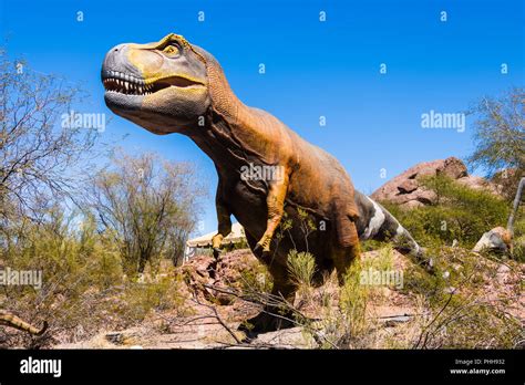 Tyrannosaurus Rex At Dinosaurs In The Desert At The Phoenix Zoo Stock