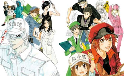 Cells At Work Season 2 Update Trailer Cast And Spoilers Otakukart News