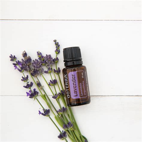 Five Ways To Use Doterra Essential Oils To Make Spring Your Favorite