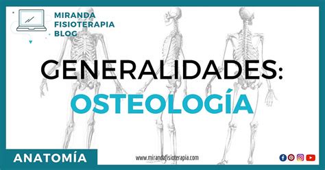 Generalidades De La Osteología