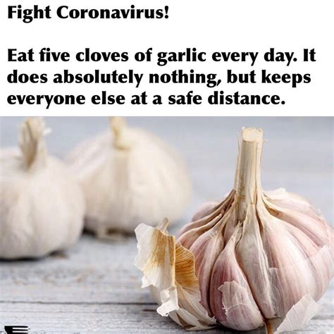 Best Coronavirus Memes Amid The Covid 19 Pandemic Madness