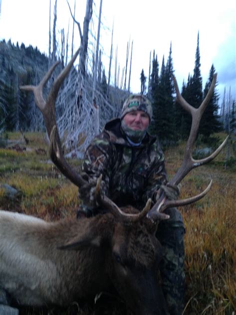 Elk Hunt In British Columbia