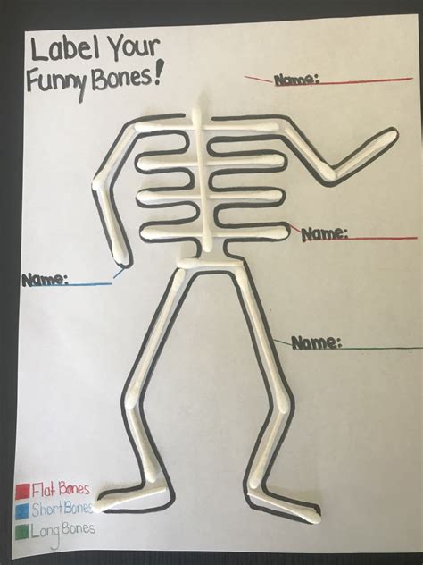 Activities From Home 1 Funny Bones Grade 3 Museum Of Health Care