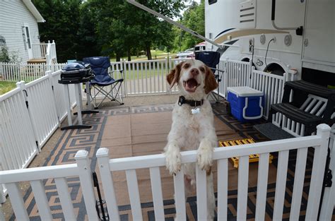 Huge sale on fence dog now on. Picket Play is a portable fencing system designed to keep ...