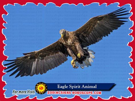 Eagle Spirit Animal អត្ថន័យ និមិត្តសញ្ញា សុបិននៃឥន្ទ្រី Totem