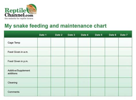 Print out this free snake feeding and maintenance chart to help you