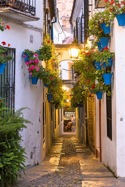 Alley With Walls Decorated With Flowers Cordoba Andalusia Spain