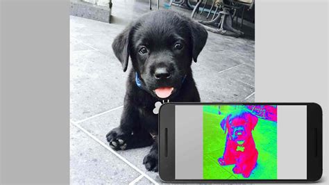 11 Best Infrared Camera Apps For Android In 2022 Updated List